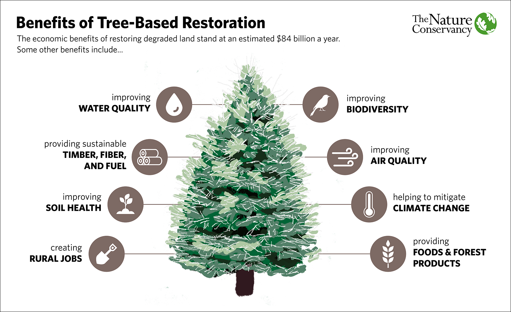 Thumbnail of Infographic