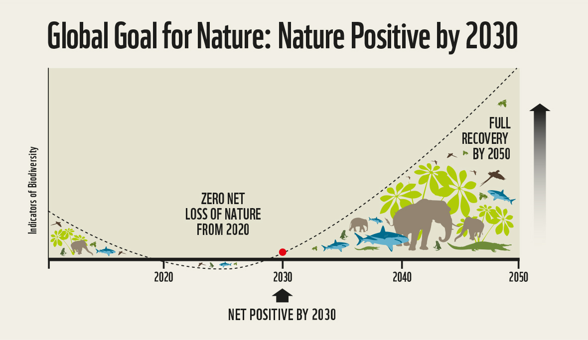 Infographic showing a chart with shapes on it.