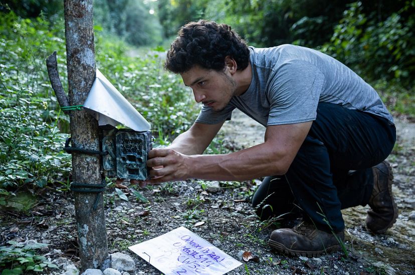 David Lugo crouches next to a camera fastened to a tree trunk as he collects memory cards and batteries.