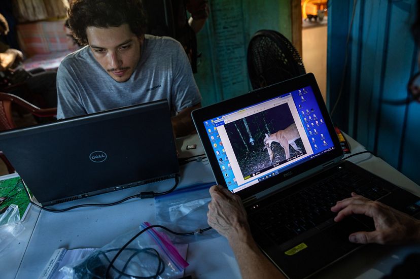 A man works at a computer and a screen shows a camera trap photo of a jaguar.